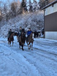 8e552740-1f86-4fa6-ade9-e4d01168d536