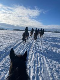 9f3c416b-6046-4f91-b659-55dfdb31247b